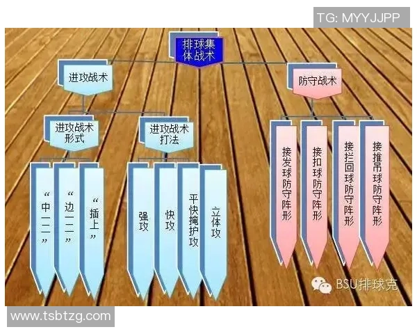 上海排球队中路突破战术解析与实战应用探讨 上海排球队中路突破战术解析与实战应用探讨