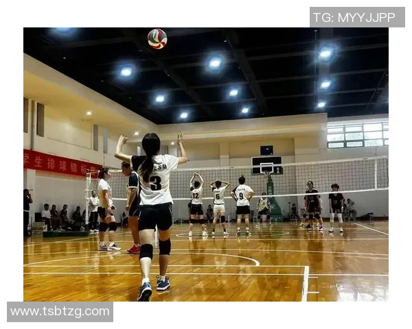 上海排球队意识排名创新高引领全国排球新风潮 上海排球队意识排名创新高引领全国排球新风潮