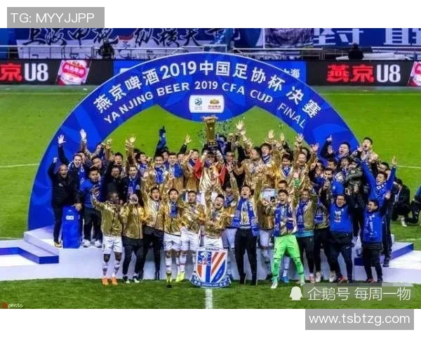 上海羽毛球队战术解析与对手战术的深度对比分析