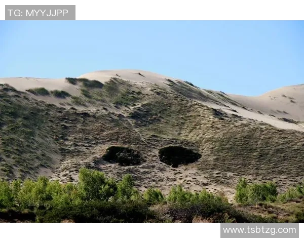 回顾87年香港足球明星的辉煌岁月与传奇故事