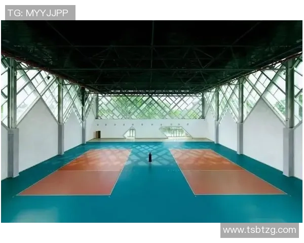 成都排球队实力揭秘：排球巨献背后的故事与成就分析