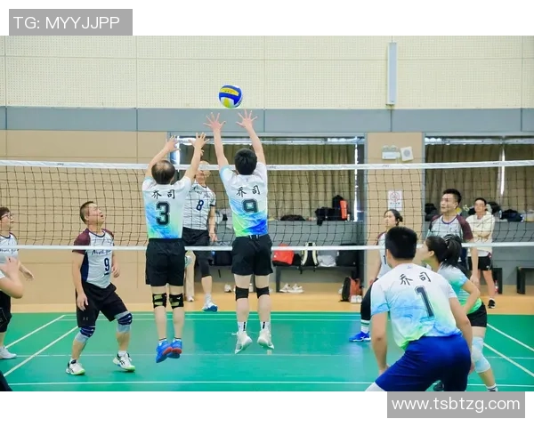 杭州排球队灵活性排名创新高展现团队实力与训练成果